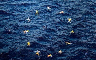 MIGRANTI: UN FLUSSO INARRESTABILE