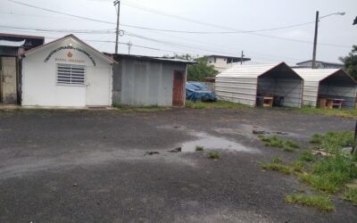 UNA RICHIESTA DI AIUTO DALL’ECUADOR